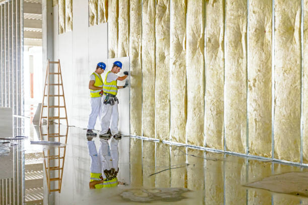 Best Wall Insulation Installation  in Corydon, IN